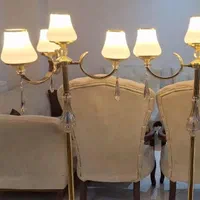 دو عددکنار سالنی