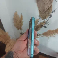 ایفون ۱۶ نرمال ۱۲۸ گیگ استثنایی خوش رنگ|موبایل|رشت, سعدی (تختی)|دیوار