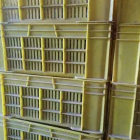 سبد 2 کیلویی|ظروف نگهدارنده، پلاستیکی، یکبارمصرف|انبارآلوم, |دیوار