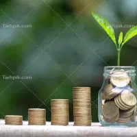 سرمایه گذار|خدمات مالی، حسابداری، بیمه|تربت جام, المهدی|دیوار