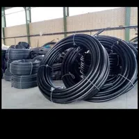 نوارتیپ گندم و کشت آزاد.لوله|خدمات باغبانی و درختکاری|نیشابور, |دیوار