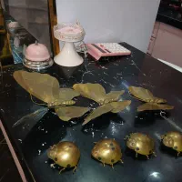 سه عدد پروانه برنزی وچهارعدد کفش دوزک برنزی