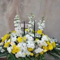 تاج گل ۱۳۰×۵۰