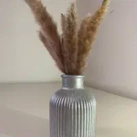 گلدون سنگی|گل و گیاه طبیعی|کرج, کوی امامیه|دیوار