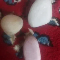 سنگ اسیاب|کلکسیون اشیاء عتیقه|خمین, |دیوار