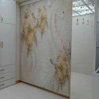 پرده زبرا دومکانیزم