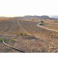 فروش زمین باغی روستای|فروش زمین و ملک کلنگی|دوگنبدان, |دیوار