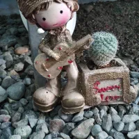 گل گیاه گلستان|گل و گیاه طبیعی|جیرفت, |دیوار