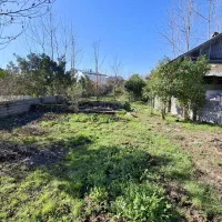 فروش-زمین-مسکونی-650متری-باپروانه-وسند-تکبرگ