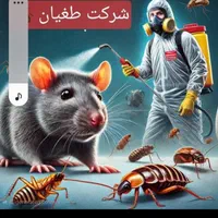 سمپاشی منزل تخصیصی و تضمینی صدرصد|خدمات نظافت|سلمان‌شهر, |دیوار