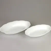 مرغ خوری آرکوپال دینو