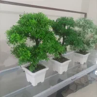 گل‌های آپارتمانی|گل مصنوعی|اسلام‌شهر, مطهری|دیوار