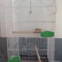 قفس