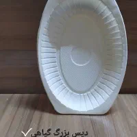 ظروف یکبار مصرف|ظروف نگهدارنده، پلاستیکی، یک‌بارمصرف|یزد, |دیوار