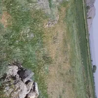 6000 هزارمتر زمین کشاورزی دیمی