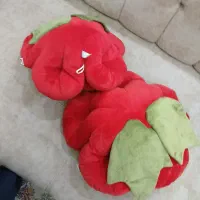 کوسن گل رز|گل مصنوعی|کرج, فاز ۴ مهرشهر|دیوار