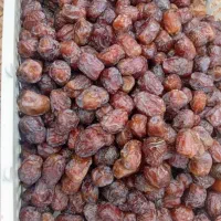 خرما مرداسنگ