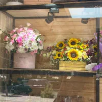 جشنواره رزطبیعی فقط شاخه ای ۲۰هزارانواع گلهاطبیعی|گل و گیاه طبیعی|کرج, گوهردشت|دیوار