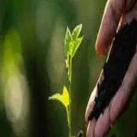 کودمرغوب کننده خاک،فوربار هماتیت