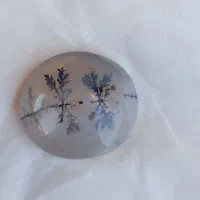 نقیم شجر|جواهرات|جوانرود, |دیوار