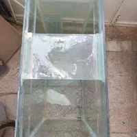 آکواریوم کارکرده|ماهی|بیرجند, |دیوار