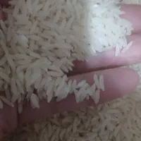 برنج طارم محلی|خوردنی و آشامیدنی|فریدون‌کنار, |دیوار