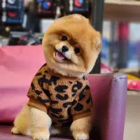 پامر وارداتی 3ماه گرید A