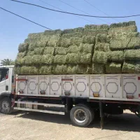 فروش پرس یونجه خشک با کیفیت سوسنگرد