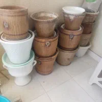 فروش تعداد گلدان و زیرگلدانی با خاک