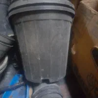 گلدان مشکی سایز ۶ و ۸ و ۱۰به بالا سینی نشا|گل و گیاه طبیعی|مشهد, خواجه ربیع|دیوار