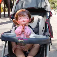 کالسکه مارک چیکو