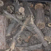 هیزم|حراج|قم, نوبهار|دیوار