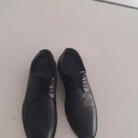 کفش چرم|کیف، کفش، کمربند|شاهرود, |دیوار