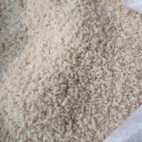 برنج هاشمی آستانه امساله|عمده‌فروشی|لاهیجان, بازکیاگوراب|دیوار