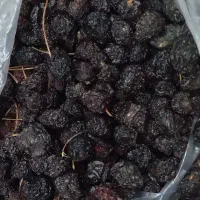 گیلاس تک دانه خشک