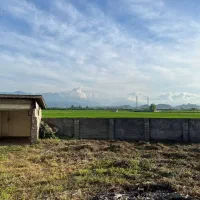 فروش-زمین-مسکونی-سند-دار-در-شلمان