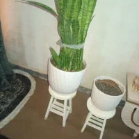 گل وگلدان ومیز