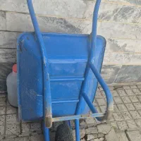 فرقون در حد نو