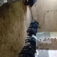 بره ومیش قصتر