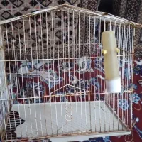 قفس پرنده