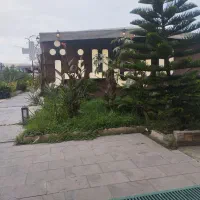 نیرو برای کافه رستوران لابی لانژ کلارآباد
