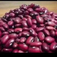 فروش عمده لوبیا قرمز درجه یک