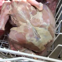 مرغ تلفاتی گوشتی سفید تمیز