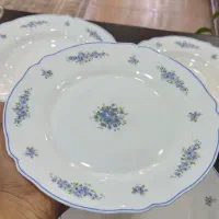 سرویس ۶ نفره آرکوپال فرانسه