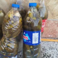 خیارشور|خوردنی و آشامیدنی|لالجین, |دیوار