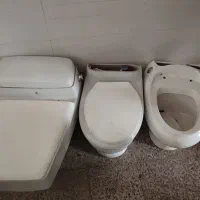 فرنگی رایگان
