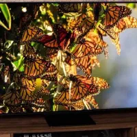 QN90B  و oled c5سایز ۵۵ پرچمدار مینی الیدی سامسونگ