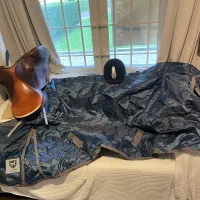 تجهیزات اسب سواری|اسب و تجهیزات اسب‌سواری|رباط‌کریم, رباط‌کریم|دیوار