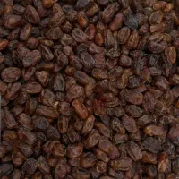 خرما کبکاب