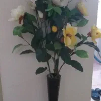 گل ماگنولیا خارجی